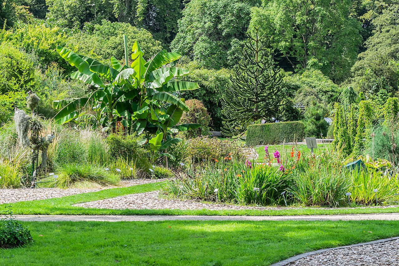 Botanical garden of Muenster