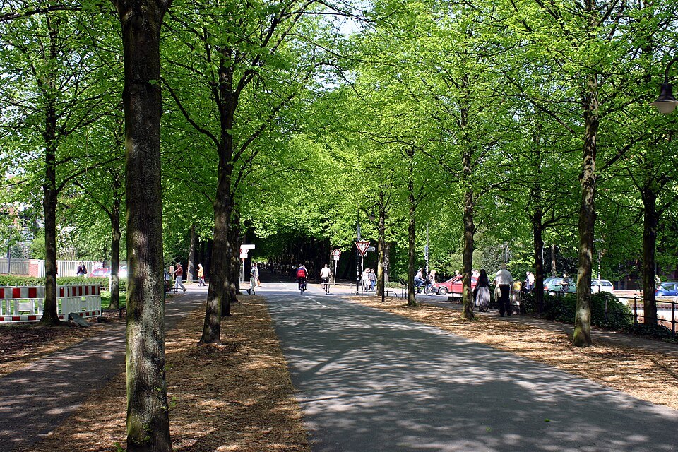 Muenster Promenade 5926